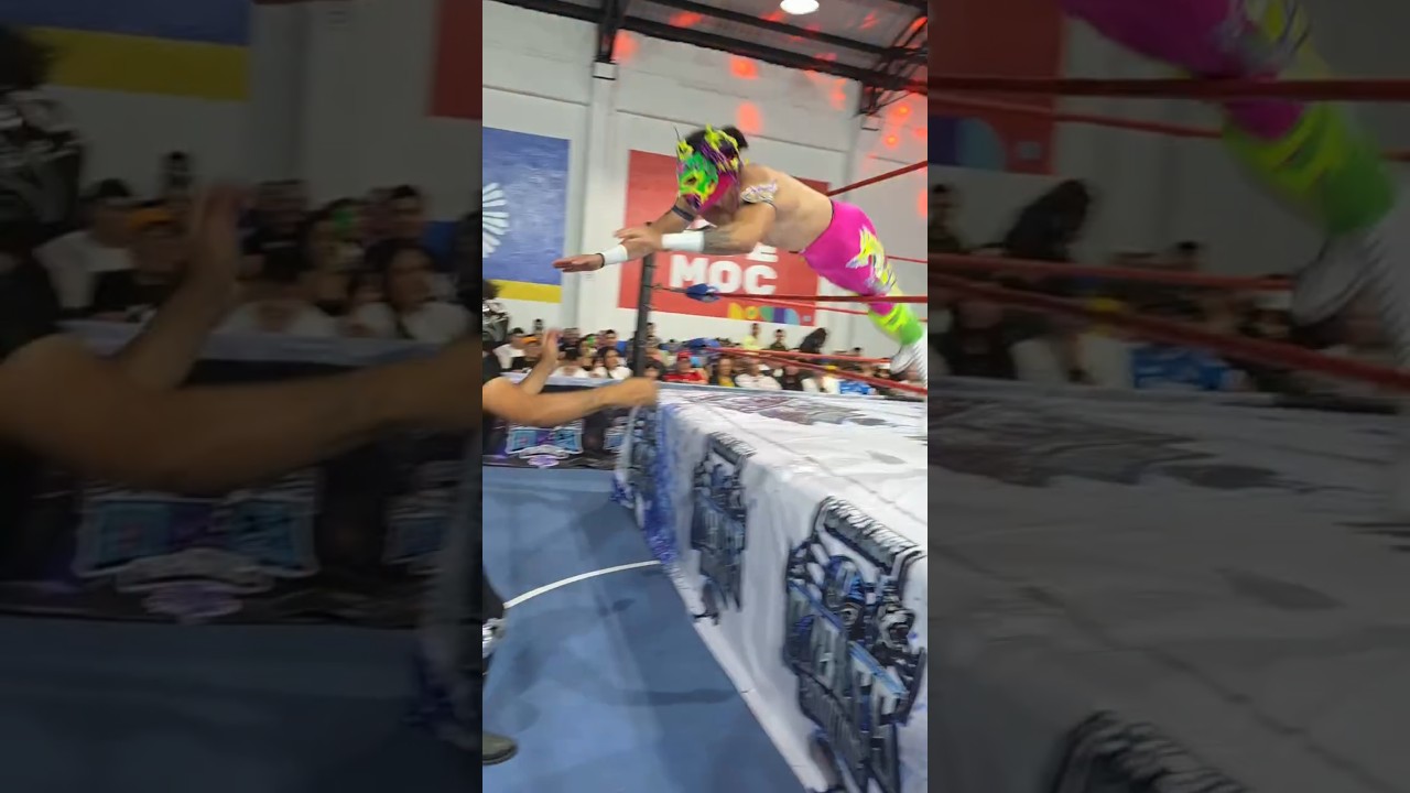 #wrestling #globalwrestlingfederation #professionalwrestling #prowrestling #wrestlingfuture