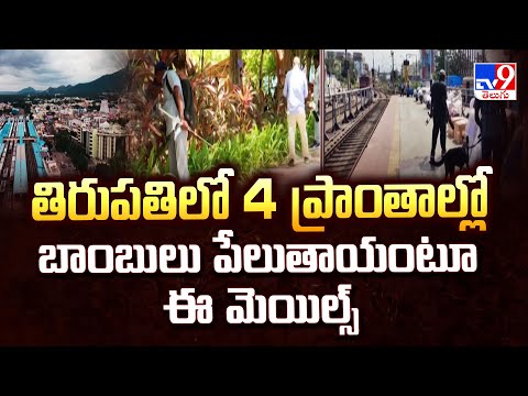 తిరుపతిలో 4 ప్రాంతాల్లో బాంబులు పేలుతాయంటూ ఈ మెయిల్స్ - TV9 - TV9