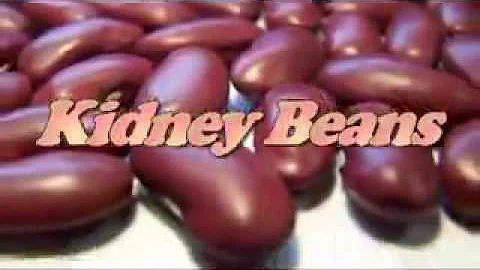 What is organ shape? (2023)
