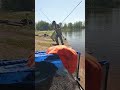Wiosenna metoda feeder na konercji