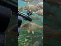 This Underwater Fishing Drone is Insane! 🐟I Caught This Fish with a DRONE! 🚀Next-Level