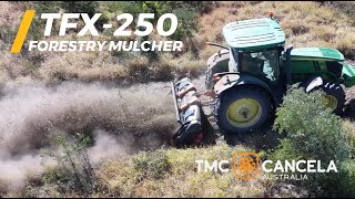 TMC CANCELA TFX-250 FORESTRY MULCHER IN REGROWTH