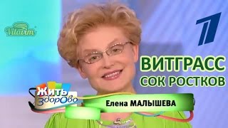 видео Ростки пшеницы: польза и вред