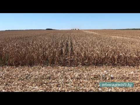 Емил Русев -