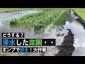 浸水した畑 ポンプで排水大作戦！ 2020/04/18