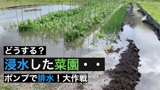 浸水した畑 ポンプで排水大作戦！ 2020/04/18