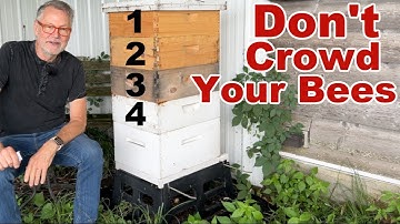 Bijenhouden: Hoe verwijder je honingkamers zonder dat je bijen zich verdringen?