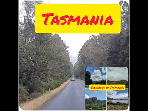 #Australia #Strahan #Travel #Tasmania #Adventure          Travel vlog (Travel around Tasmania) P 1😘