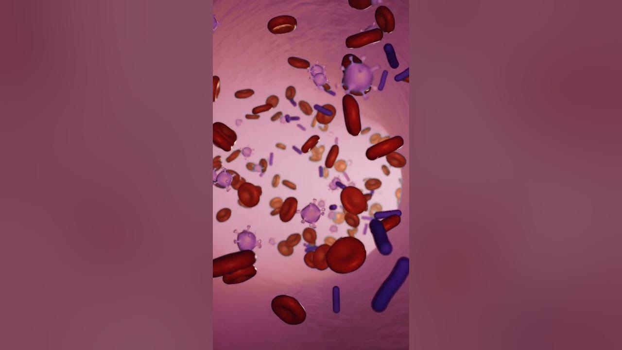 what-does-cat-s-claw-do-to-your-immune-system-youtube