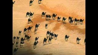 Ya Leyl A'ah - Hanan (Sif Sifaa)
