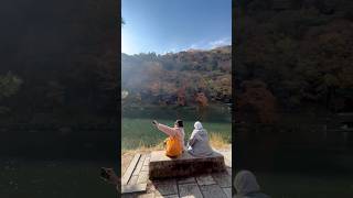 #pirot #autumninjapan #fypシ゚viral #fypyoutube