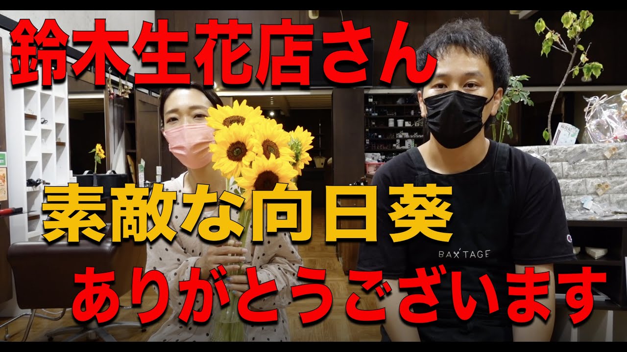 お世話になっている鈴木生花店さんから向日葵をいただきました Youtube