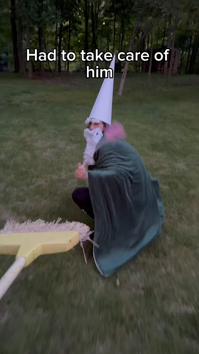 I found a Gnome in my Garden! #gnomes #funny #gnome #knight
