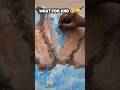 professional painter 😁😅 #painting #wall #viral #funny