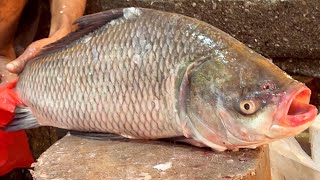 Big Catla Carp Fish Cutting Skills Live In Bangladesh Amazing Cutting Skills