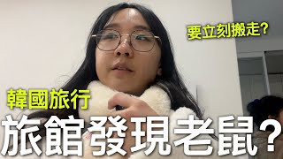 韓國Airbnb發現老鼠…? 要立刻搬走? 難忘的旅行感受【韓國之旅#7】 by Brandy Chau 8,832 views 5 months ago 14 minutes, 31 seconds