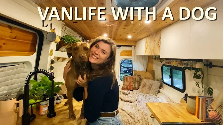 Vanlife With A Dog | (tips and tricks)