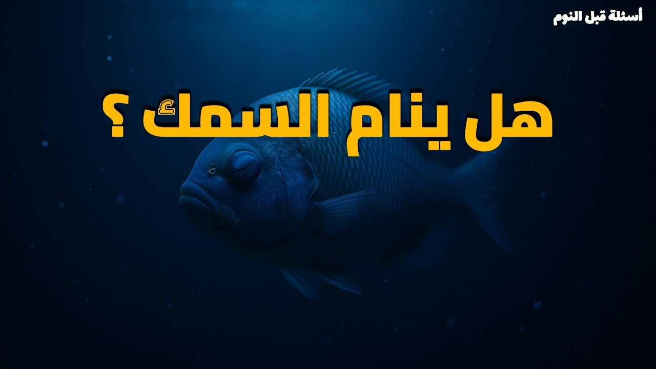 كيف ينام السمك وعيونه مفتوحة؟ سر لا يراه أحد تحت سطح البحر!
