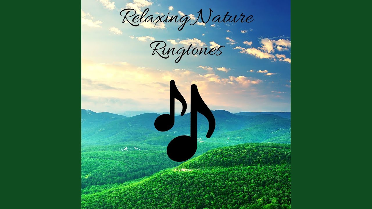 Focus on the Good Things