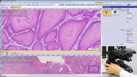 Olympus DP74 Microscope Camera   Position Navigator
