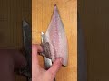 Can you guess this fish? Fish play #JapaneseChef#asmr #sushichef #KnifeSkills#FoodArt