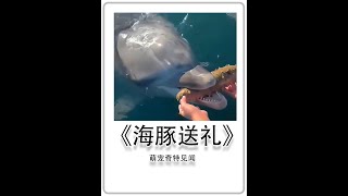 海豚被人类所救然后送礼表达感谢 #神奇动物在抖音 #动物世界 #海底世界 #海豚 #抖音校园live计划1