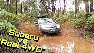 Can This Subaru Hang With a 'Real 4WD'?