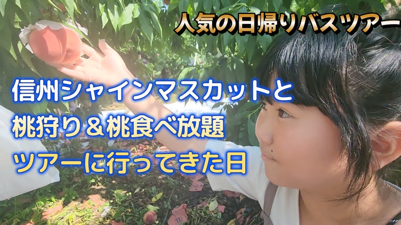 日帰りバスツアー【信州シャインマスカットと桃狩り＆桃食べ放題ツアー】に参加してきたよ♪