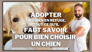 Adopter un chien en refuge, tout ce qu'il faut savoir pour bien choisir un chien en SPA...