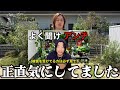 【カーメン君の動画を見て】思ったことを話します【じゅんぺい君】【ガーデニング】【園芸初心者】