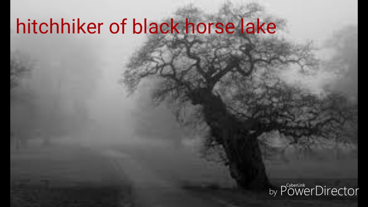 camera iphone 8 plus apk Hitchhiker of black horse lake!