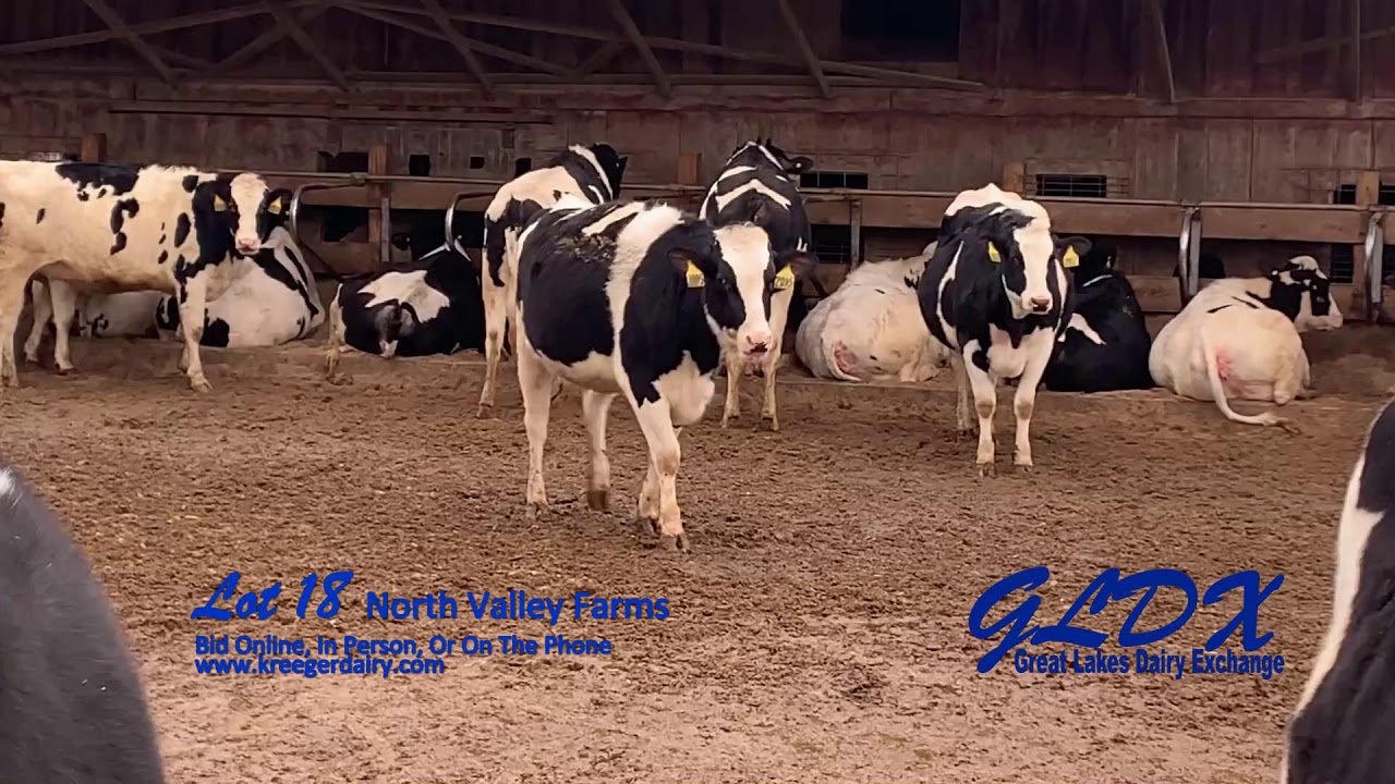 Lot 18 North Valley Farms YouTube
