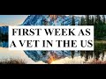 First week as a veterinarian in the USA. English episode #1