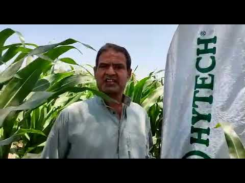لقاء مع وكيل شركة مصر هاي تك بالمنوفية 2021 - video from Misr Hytech