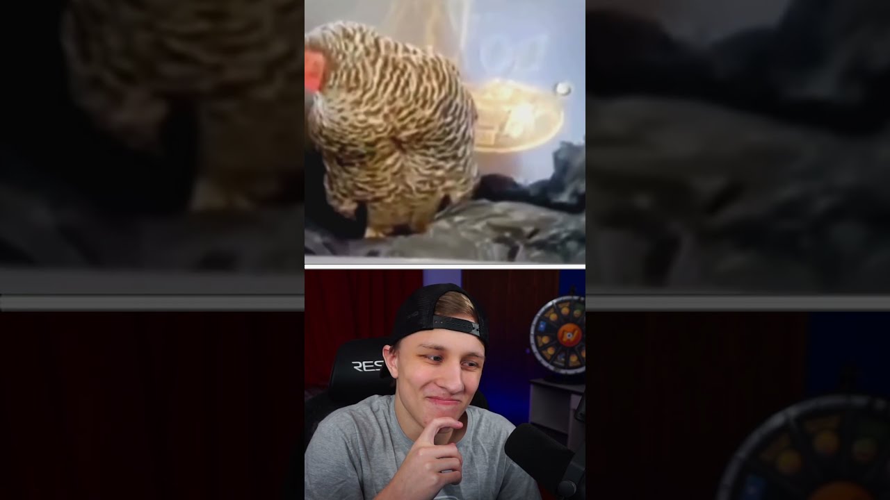 ТЫ СМЕЕШЬСЯ, ТЫ ПРОИГРАЕШЬ #8