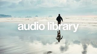 Oddvision Media - Festival Madness Electronic Music Playlist No Copyright Audio Library