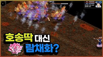 채화 - YouTube 채화 - Youtube