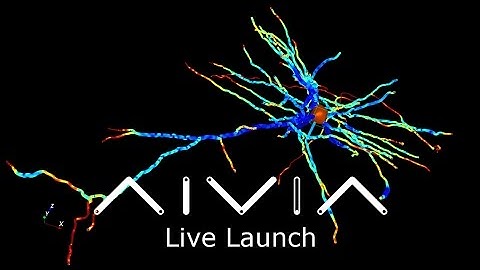 Aivia 5 - [Launch webinar] Neuron Exploration