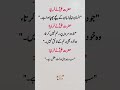 Hazrat Ali Quotes About Tongue, Mercy & Wisdom | Islamic Teachings