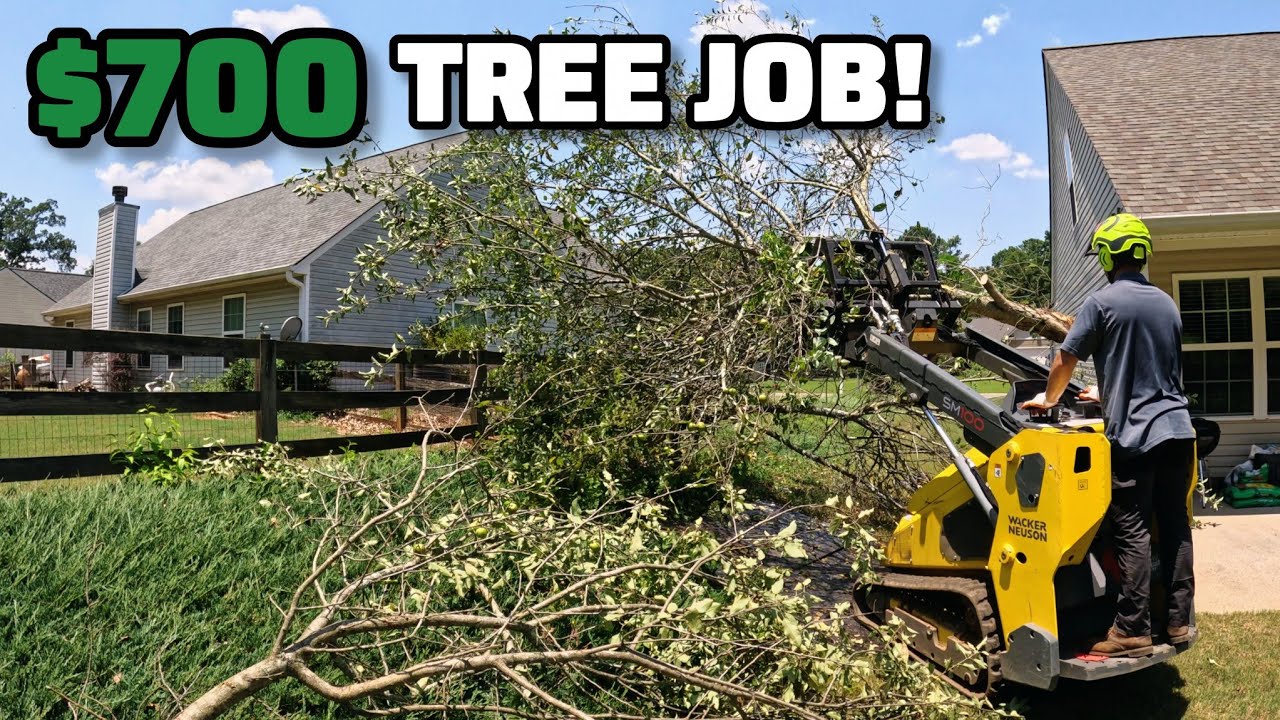 Today Was Another Successful Day Of Being A Small Business Owner! - Solo Tree Removal With Mini Skid