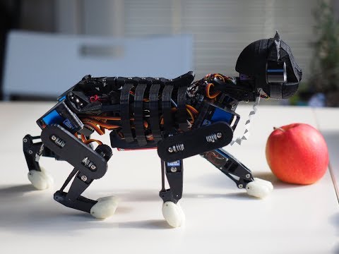 Petoi: OpenCat Robot Cat Demo - Open Source Quadruped