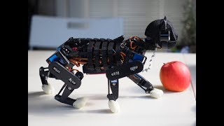 Petoi: OpenCat Robot Cat Demo  Open Source Quadruped