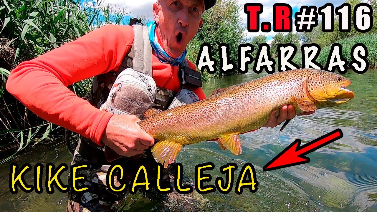 👉ME VUELVO A ALFARRAS CON KIKE CALLEJA🎣