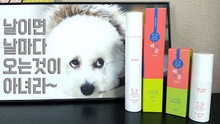 ※귀여움주의 / 리뷰가 눈에 안들어 오는 광고주가  싫어하는 광고  / 천연베개 탈취제 &quot;베개야 가글하자&quot; 【비숑프리제(Bichon Frise) 반려견 숑군과 하이브리드 꽁양의 현