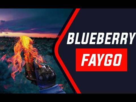 BLUEBERRY FAYGO | | CS GO FRAGMOVIE #4