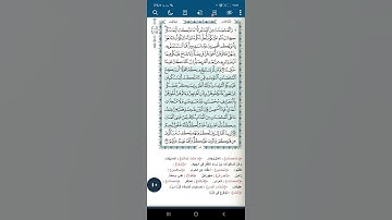 سورة النساء اية(٢٥)