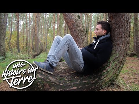 Vidéo: La Forêt Tortueuse En Pologne Reste Un Mystère - Vue Alternative