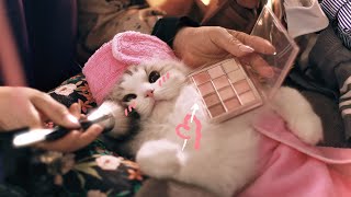 Blind Dating for the First Time  Get Ready with Me ✨| Cat Spa ASMR