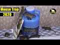 Easy Trick Mouse Trap | Catch The Rats | By Mouse Trap Tricks