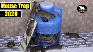Easy Trick Mouse Trap | Catch The Rats | By Mouse Trap Tricks